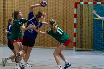 Bild 220 - B-Juniorinnen HSG Kremperheide/M�nsterdorf - Buxtehuder SV